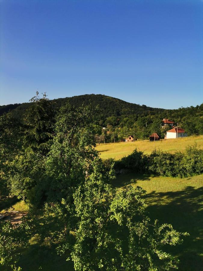 Willa Srdica Kuca Trnava  Zewnętrze zdjęcie